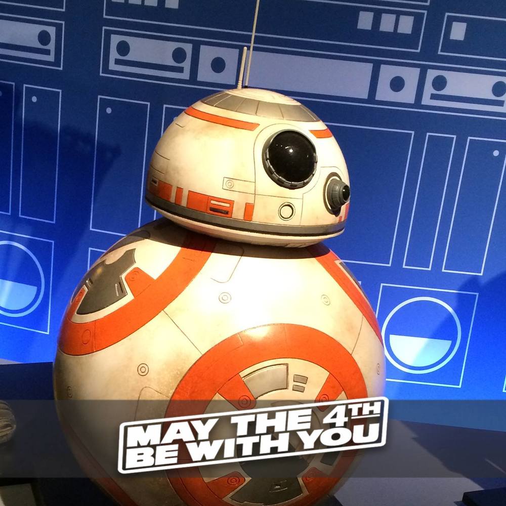 Meet your Posher, Wendy